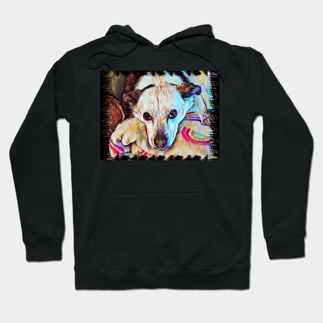 Chiwawa pup Hoodie by PandLCreations